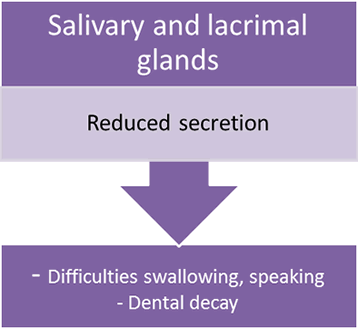 Salivary glands anticholinergic effects